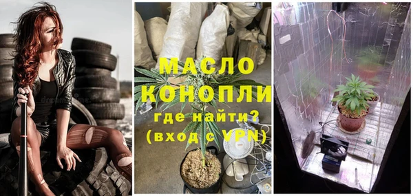 дмт Новодвинск