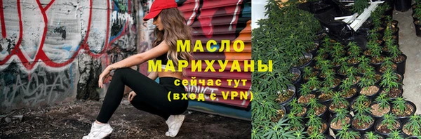 сатива Аркадак